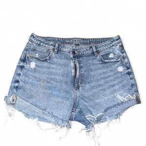 American Eagle Outfitters Light Blue Mom Shorts